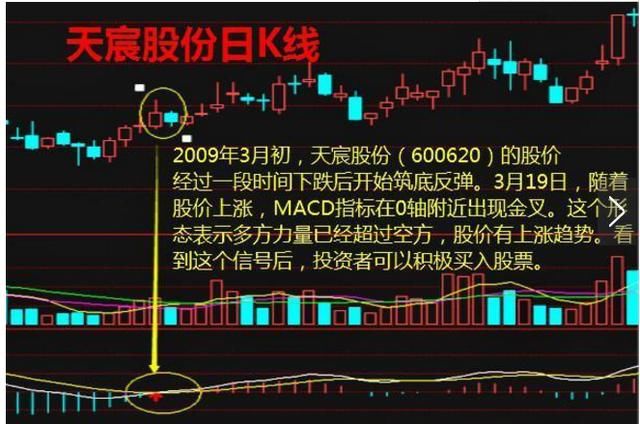 中国股市再次爆发“股灾”凶潮，亏损散户还能存活多久？