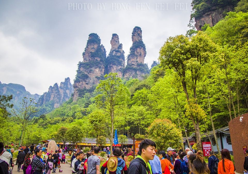 人间仙境四月天，张家界武陵源旅游攻略