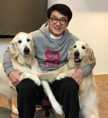 澳门威尼斯人娱乐场:成龙之后,吴京难扛功夫电影的大旗 澳门威尼斯人娱乐场:成龙之后,吴京难扛功夫电影的大旗