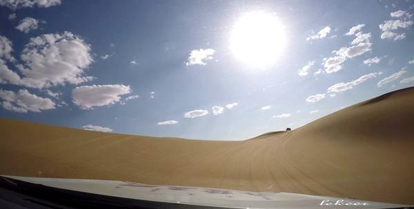 荒漠也不是荒漠了