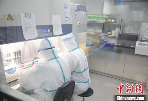 新型布尼亚病毒