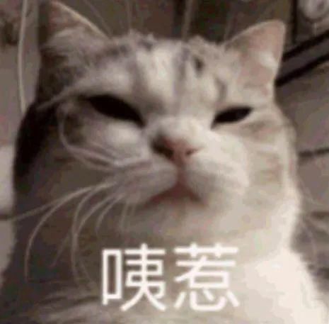 我劝你找个爱怼人的女朋友，又虐又爽