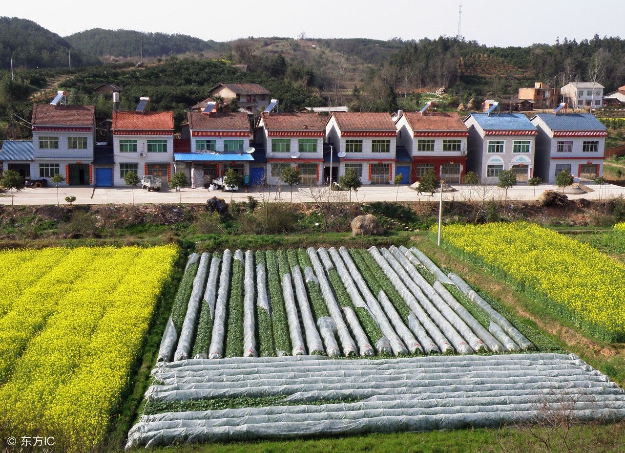 农村宅基地想要流转?这些条件你必须都符合!