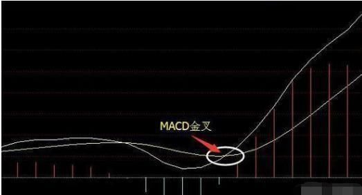 金牌操盘手的血泪经验:选股坚持只看20日均线,赚翻天!