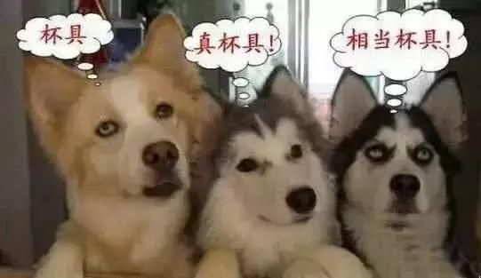 上海人，为什么不喜欢地铁安检，终于有人说出了真相……