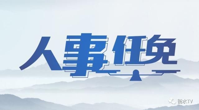 衡水最新人事任免