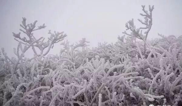 这是贵州最全的冰雪景观！美得有点猝不及防……