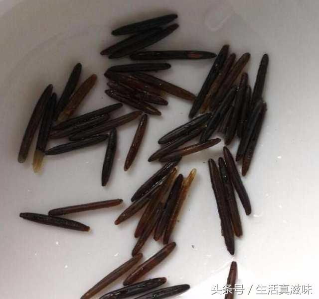 这5种最贵最好吃的米，你吃过几种?最后一种连土豪都吃不到