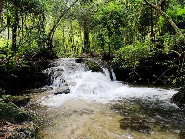 罗城水上相思林，如上天遗落的一颗绿宝石！