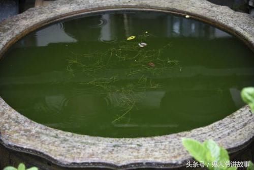 故事：荷花缸里站起一个人，专等别人骂他，结果谁骂谁倒霉