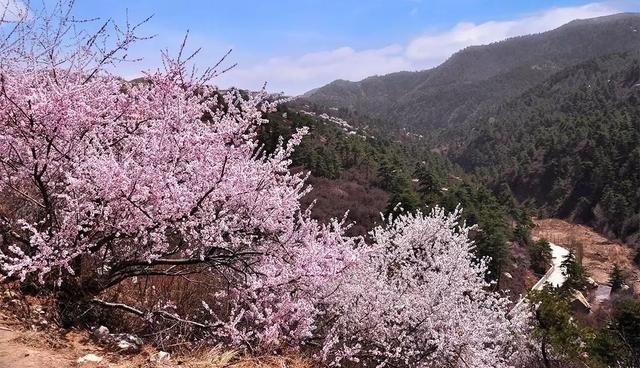 春节放假至元宵节?五一放7天！？赶快拿好山西最佳全年旅行表