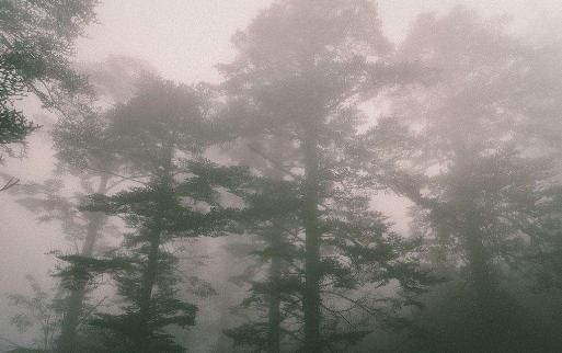 读资治通鉴札记578 从战争和民生的关系论述闽