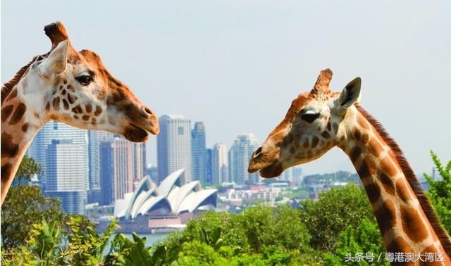 广州去海口79元！一大波白菜价机票来了，错峰出游正当时！