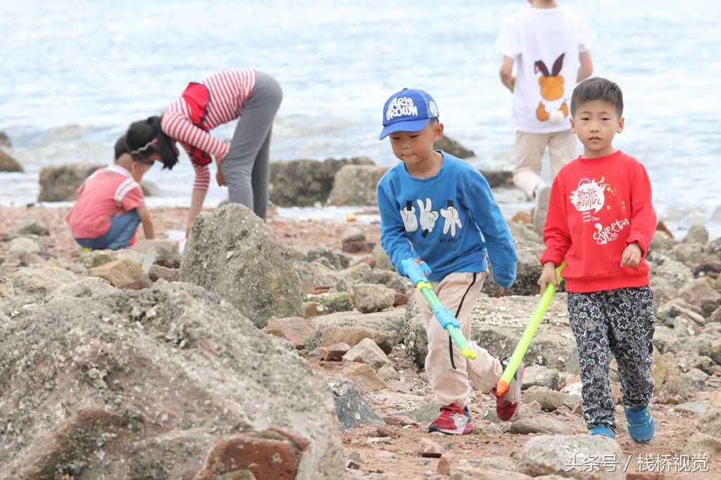 青岛胶州湾小螃蟹泛滥，赶海能抓好几百只回家油炸下酒爽歪歪