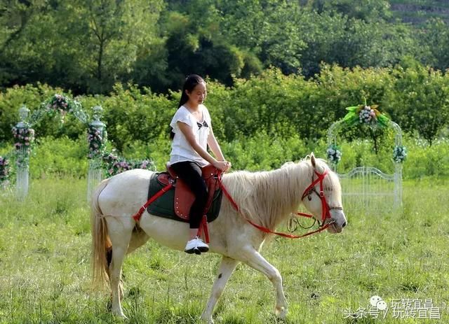 湖北宜昌：下牢溪水清澈见底 小鱼螃蟹随便抓