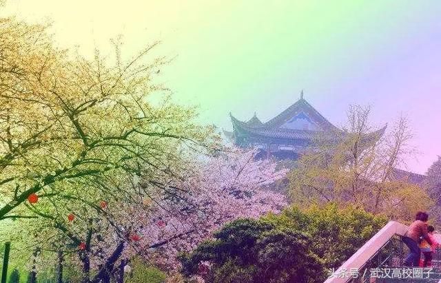 武汉30个春游免费景点大集合!踏青、骑行、拍照来这里就对了!