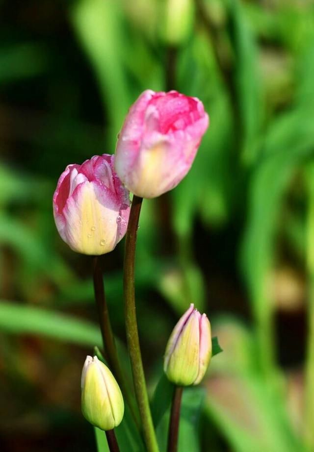 大乐透:这样一注小复式彩票或许能让你轻松拥