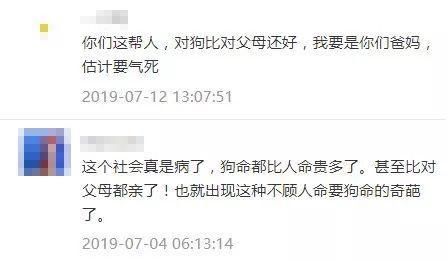 我对狗狗都这么好,对父母又怎么会差? 乐虎国际游戏网站