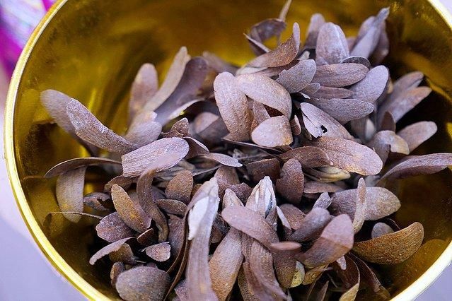 7天6晚，玩转傣历新年泼水盛会