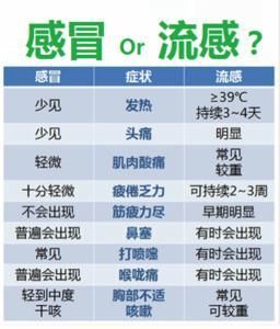 共同关注:你不知道的“流感和感冒”