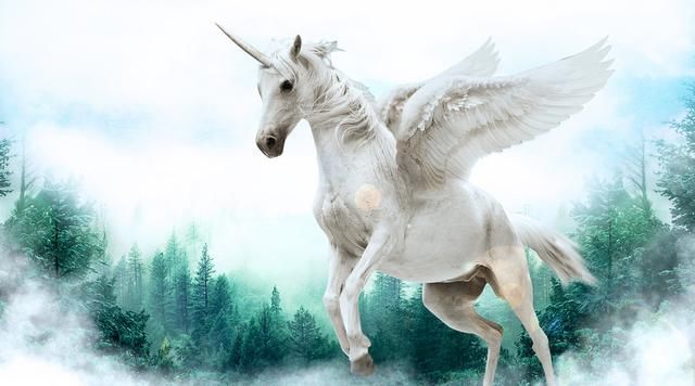 全梳理:监管层给独角兽公司开绿灯,还有哪些概念股可布局?