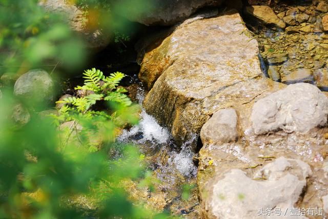 “既有黄花溪，何须去九寨” 这里负离子爆表 五一畅游寄情山水间