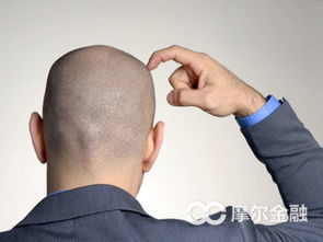 界顶级评级机构的投资逻辑:原材料资源行业股