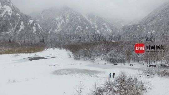 佛系蚊子不咬人 春节出来赏雪景 四川地区首次发现罕见“冬大蚊”