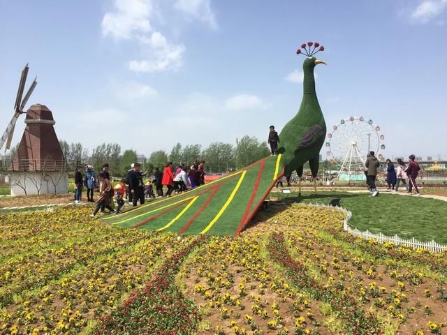 五一旅游好去处：洛阳！城市旅游不虚此行