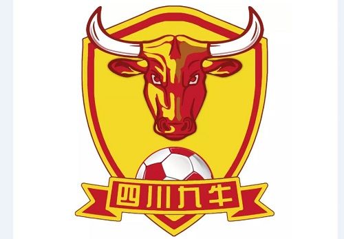 股份有限公司股权转让