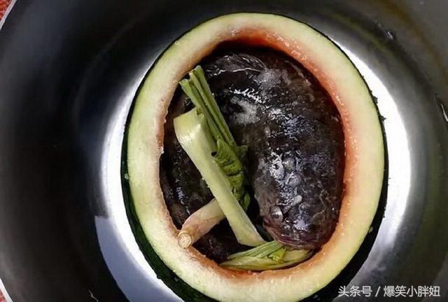 西瓜皮不光能够用来煮鸡蛋【美女把鱼放进西瓜