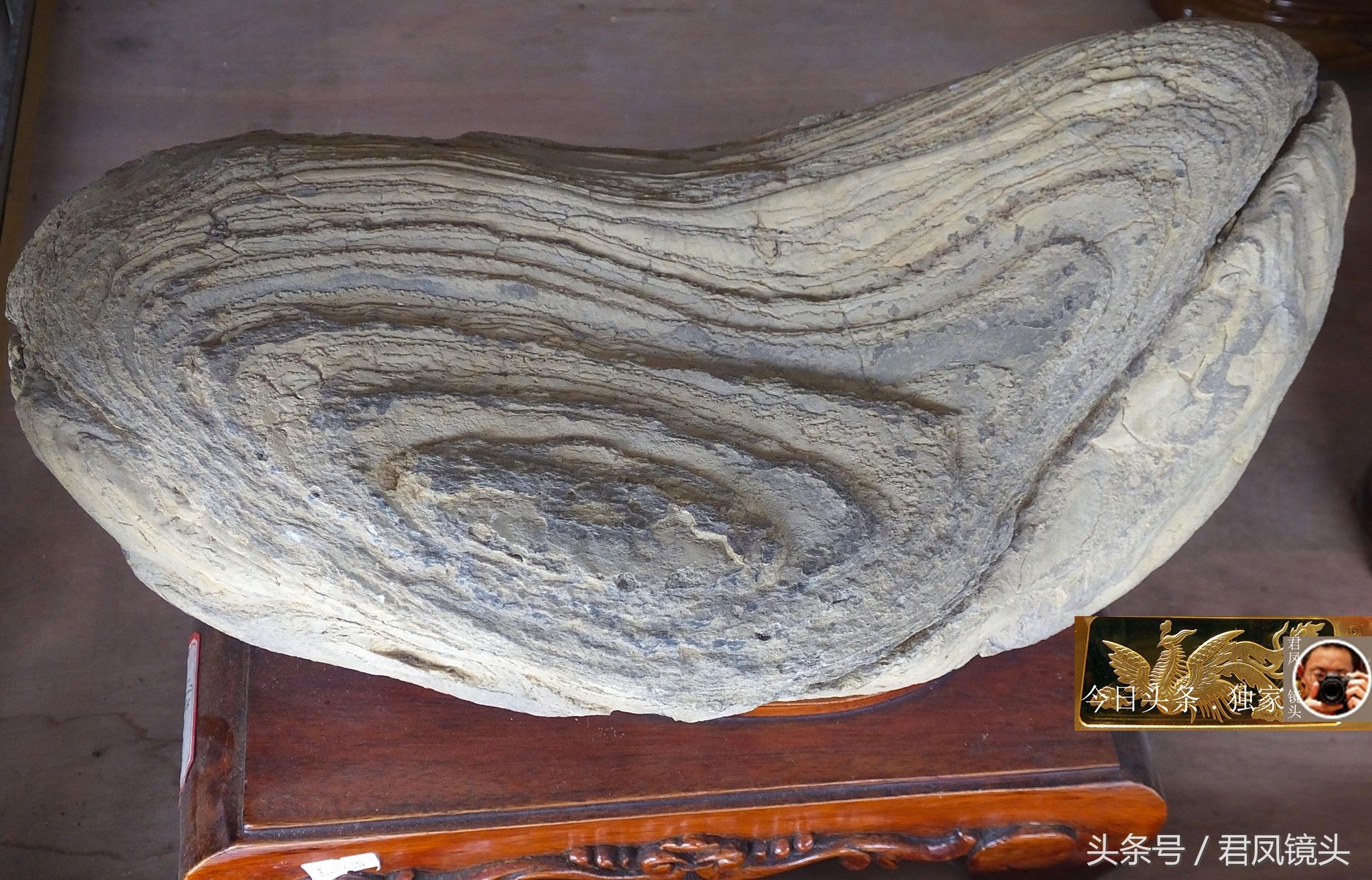 奇石摄影:园林景观石长相奇异!“大展宏图”售价580万元!