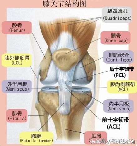 膝盖疼痛不要四处求药了!一瓶陈醋胜过10个老