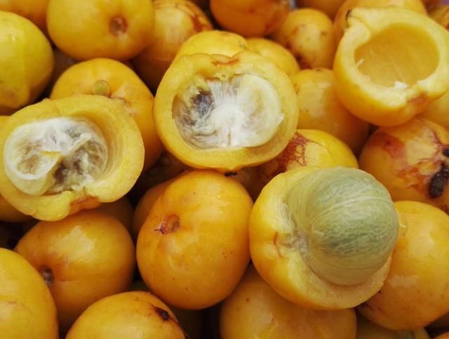 这金黄金黄的野果，你吃过吗