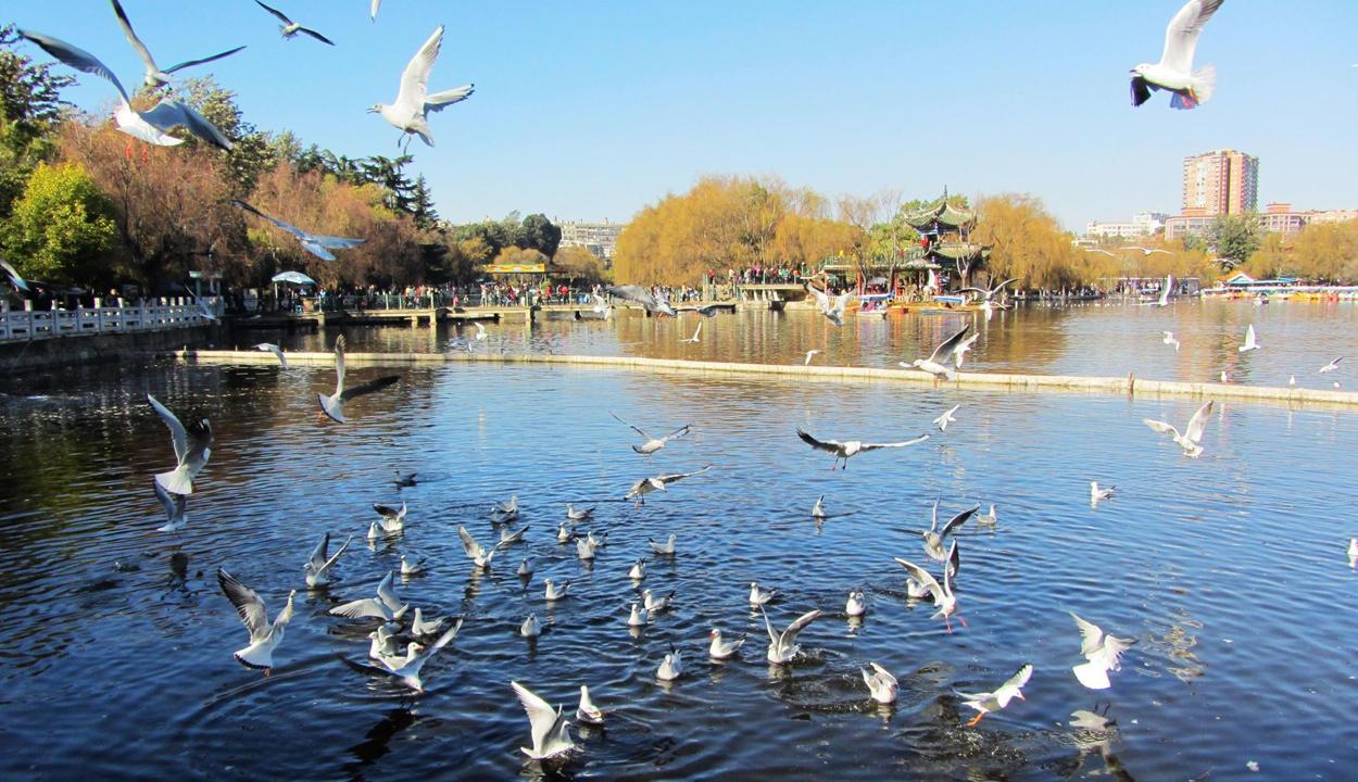 昆明未来有大发展的辖区,经济全市第一,不是五