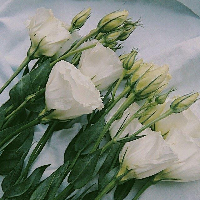 晚安说说致自己一句话,句句深入人心!