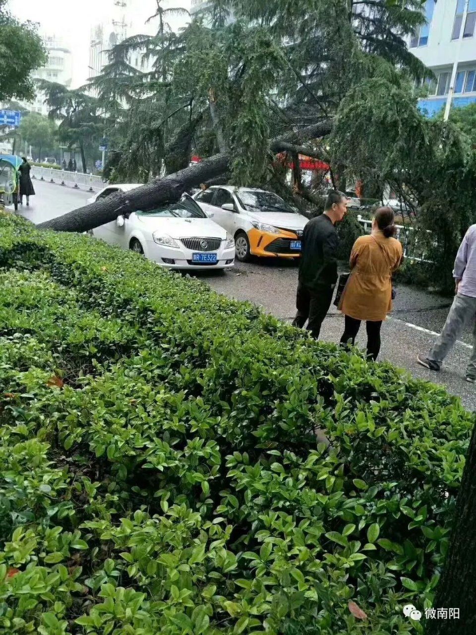 暴雨突袭南阳变水城!有人街上逮鱼，有人开推土机接媳妇!