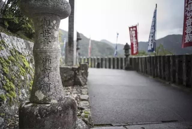 春天和旅行不可辜负，日本和歌山县来山东推介旅游