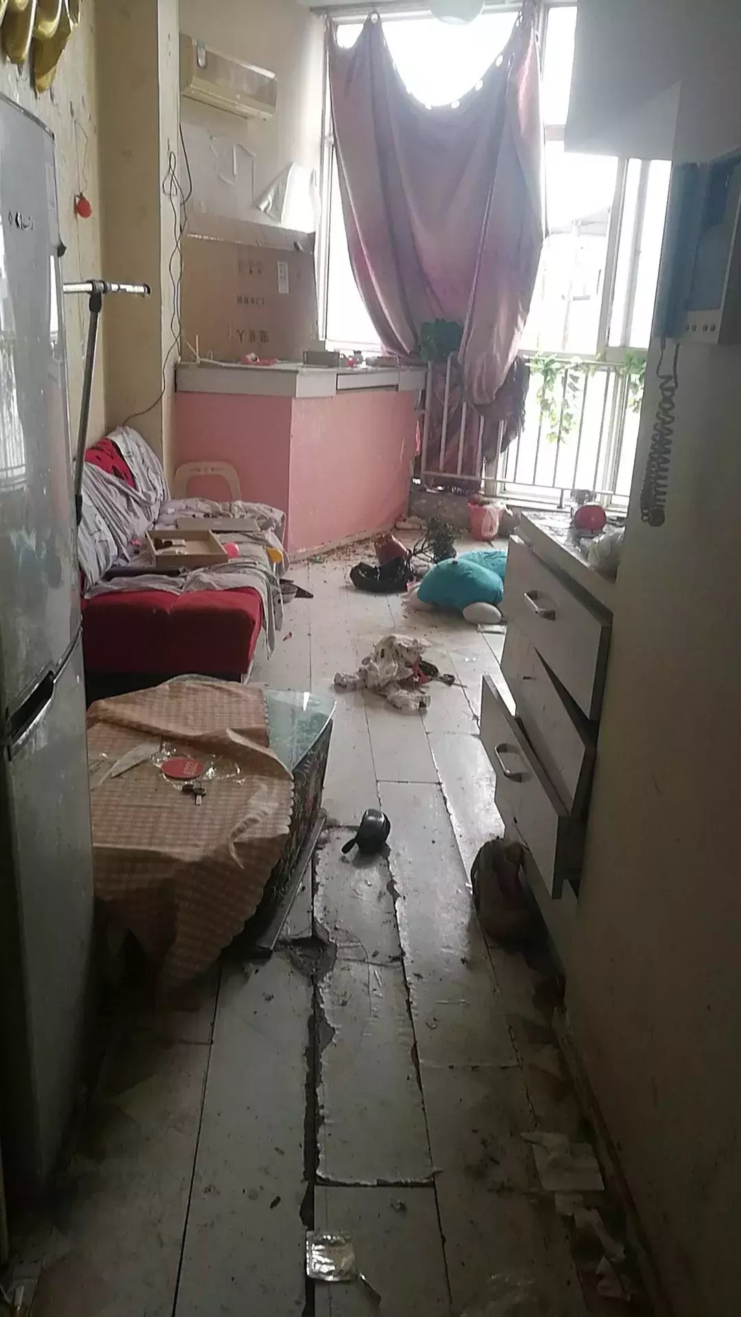 房子租给情侣1年后房东傻眼 网友:是哈士奇成