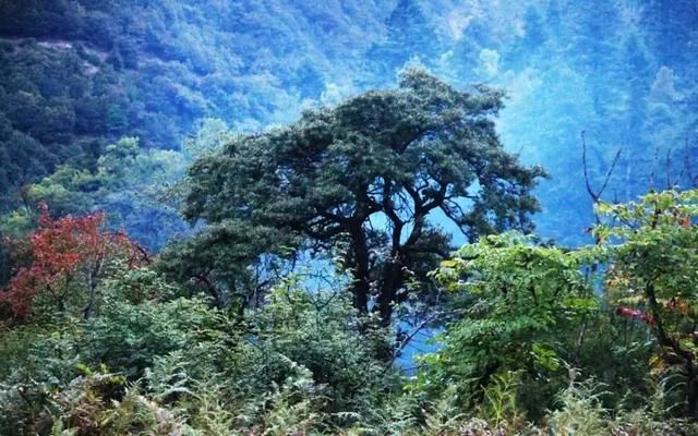 云南｜或许你听说过“雨崩”，但没有来过这个地方！