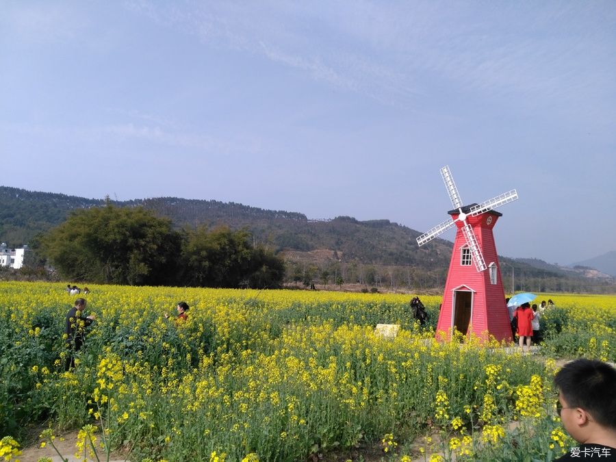 2018年春节粤北韶关赏花，火山上的油菜花 。