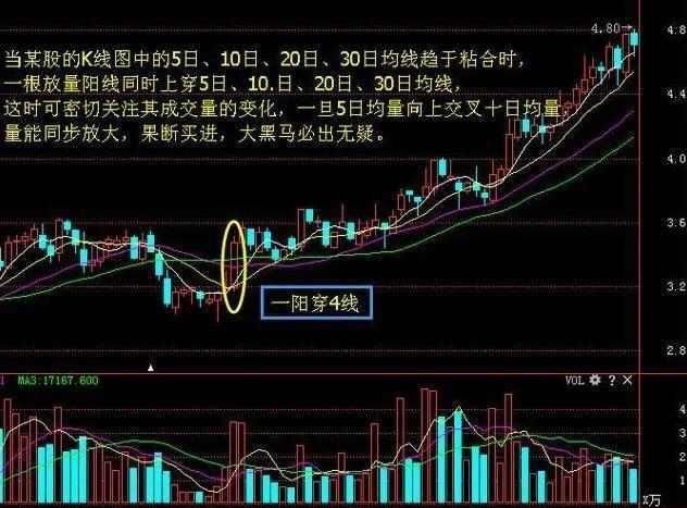 中国股市最牛的人滴血经验：量柱是庄家的标志，散户轻松跟庄赚钱