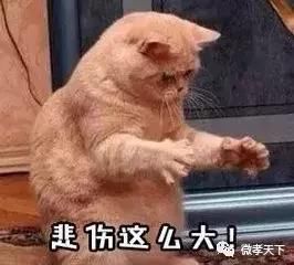 好消息孝感还没有办护照的朋友,今年五一以后