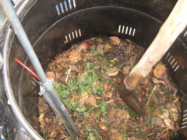 捡来的落叶和家里的菜叶果皮变成有机肥料,养