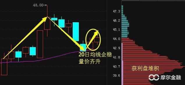 36岁上海女博士直言:27年只做一种股票从未赔过,股市犹如娶款机