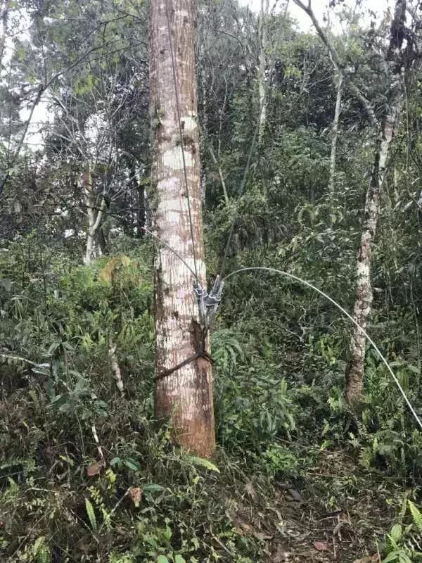 警钟长鸣 | 致4人死亡!云南在建高压输电线塔发