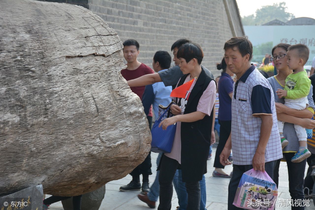 两千年木头重18吨，价值2000万露天摆放，游客围观成景点