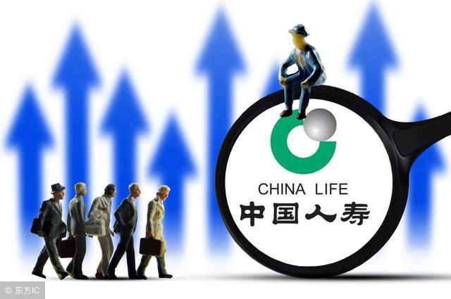 2018年中国人寿保险行业排行前10的有哪些公
