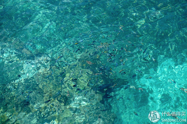 头脑一热，去马来西亚热浪岛了