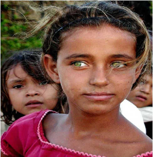 全世界最漂亮的15双眼睛,最后一个你肯定没见